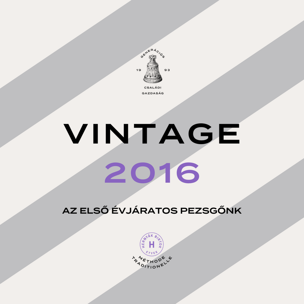 VINTAGE 2016 pezsgő